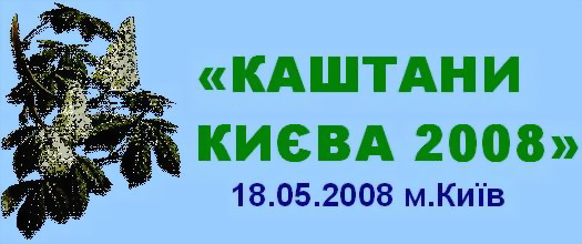 <font color="#808080"> Ȫ 2008</font>